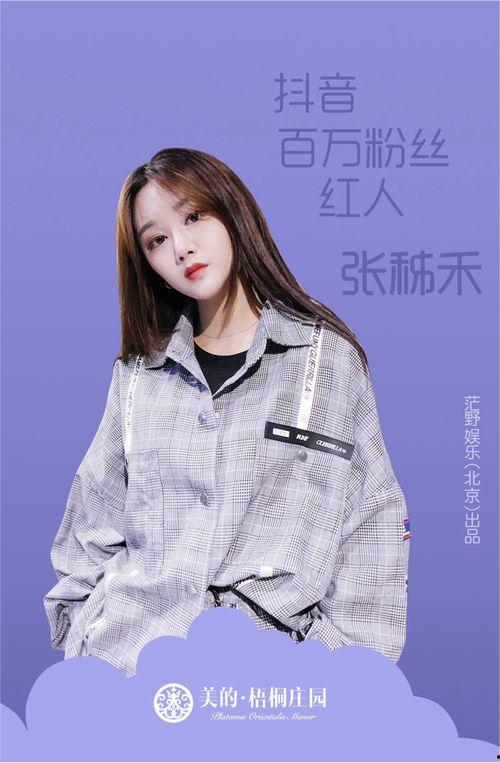 网红和偶像,新时代的明星力量与粉丝文化解析