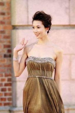 明星走红毯的背景音乐,明星走红毯背后的动人旋律