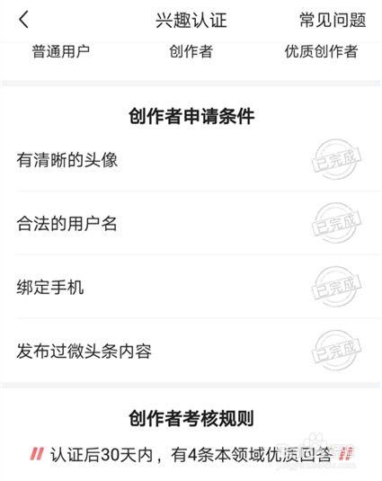 对头条的兴趣是什么,揭秘热门话题背后的兴趣密码