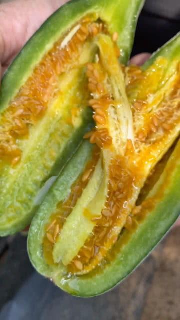 小黄二二吃瓜,揭秘娱乐圈幕后真相