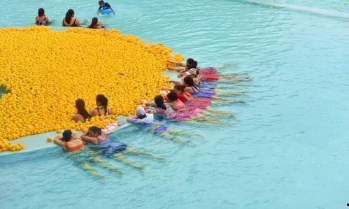 网红退潮图片欣赏,揭秘网络红人现象的兴衰与反思