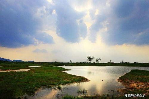 月亮岛在线观看,在线揭秘神秘岛屿的奇幻之旅