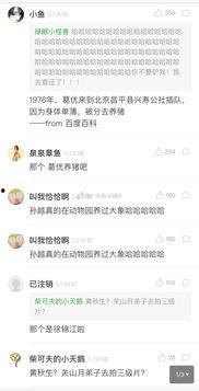 明星履历,揭秘明星的辉煌履历与璀璨人生