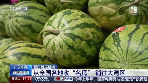 吃瓜广东东莞,吃瓜群众的美食天堂