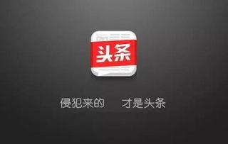 莆田凤达今日头条,聚焦凤达最新动态，洞察区域发展新趋势