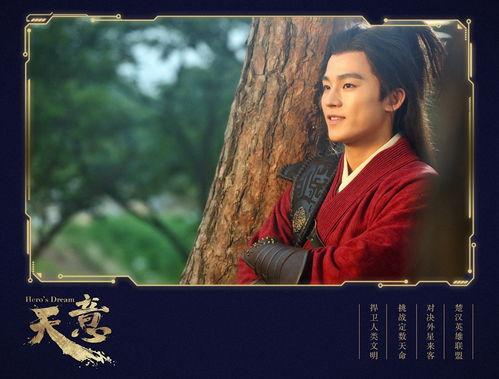 天意影视明星,璀璨星河中的璀璨星辰